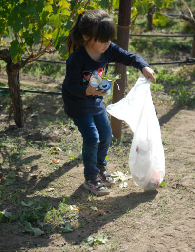 gallery-harvest-kid-clean